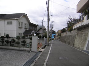 kobe-tochi-1.JPG