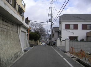 kobe-tochi-3.JPG