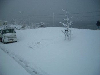 雪景色の現場