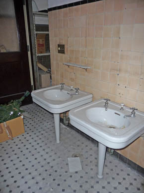 101126-kyoryuchi-sinks.jpg